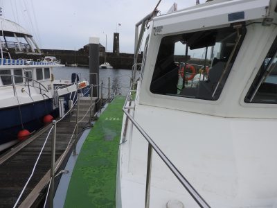 exterior deck